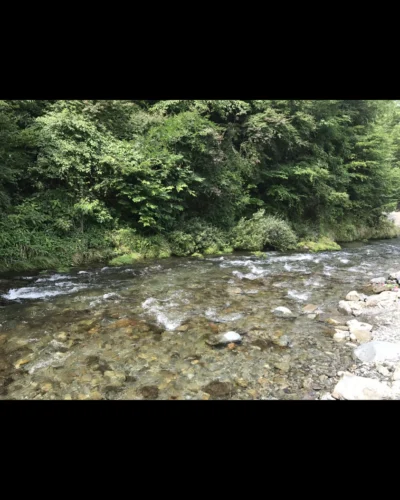 やまのんの日記写真