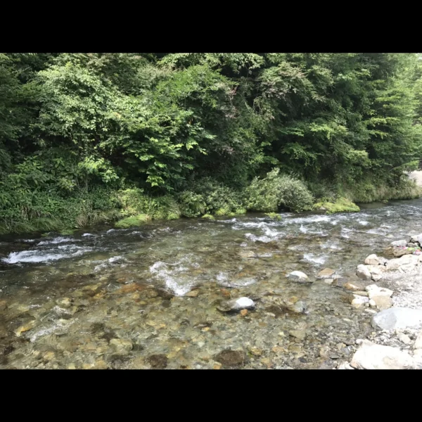 やまのん の日記写真