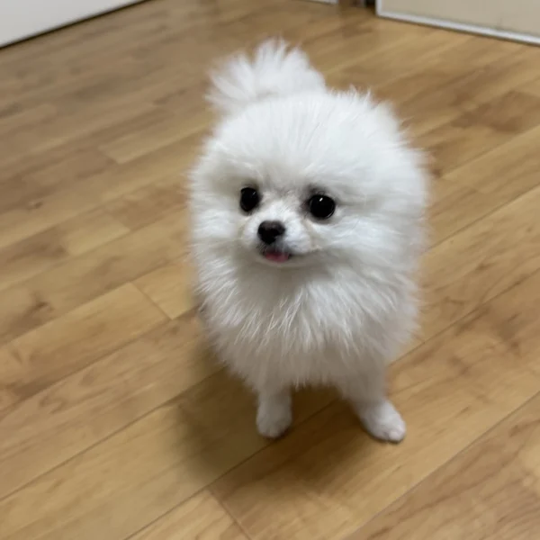 こば の日記写真
