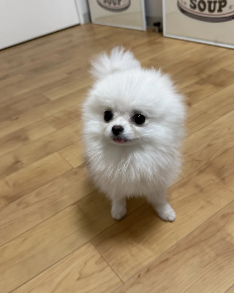こばの日記写真1