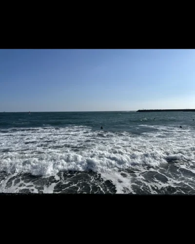 やまのんの日記写真