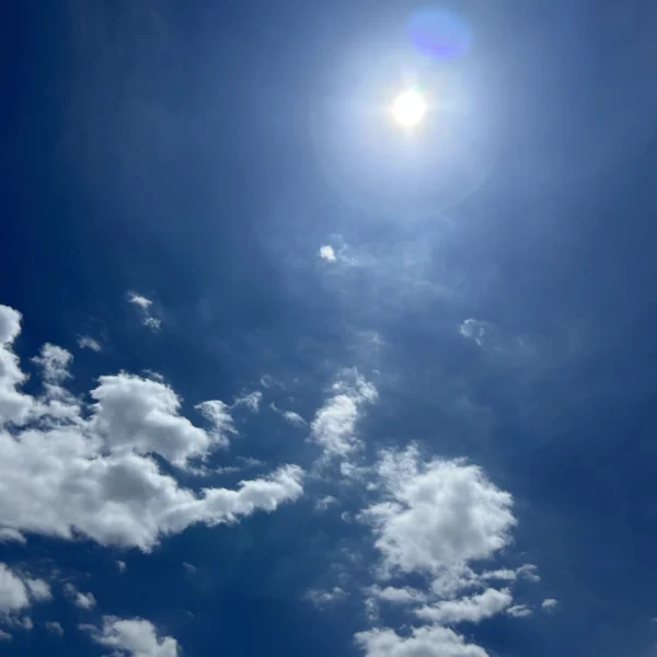 ゆうま の日記写真