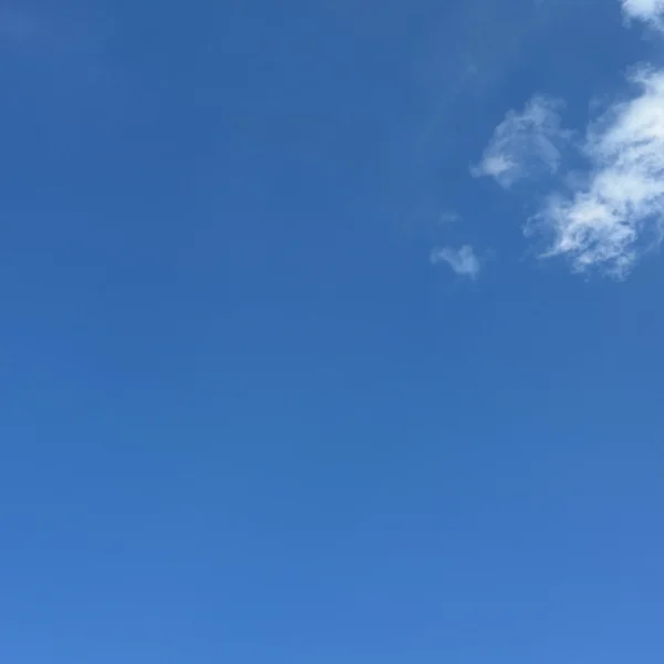 ひろ の日記写真