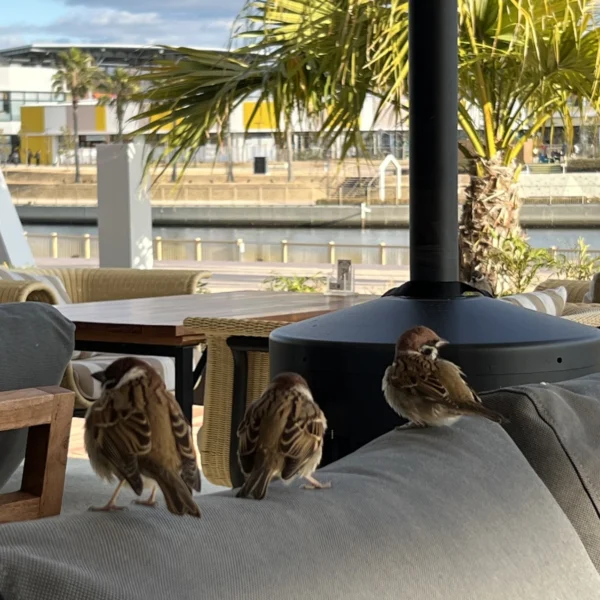 トウマ の日記写真