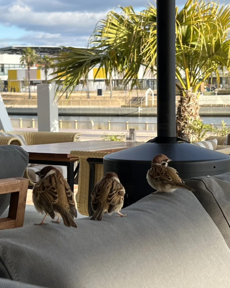 トウマの日記写真1