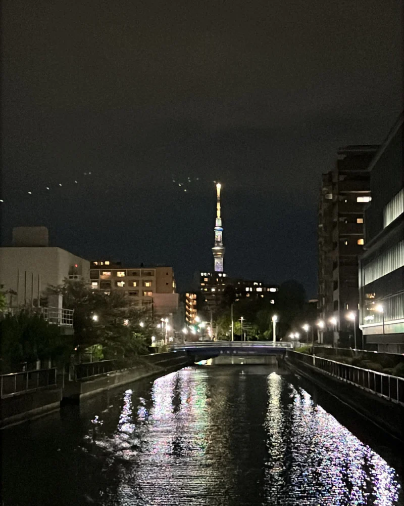 トウマの日記写真1