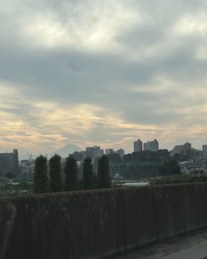 トウマの日記写真1