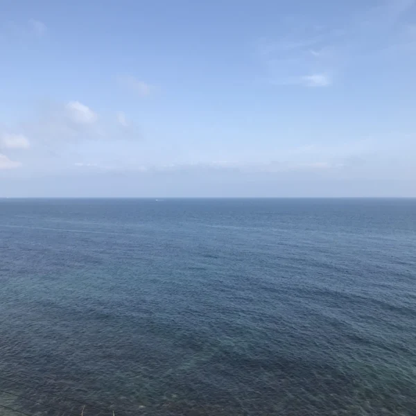 トウマ の日記写真